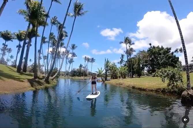 Historic Hilo Bay & Coconut Island SUP Adventure - Cancellation Policy and Weather Conditions