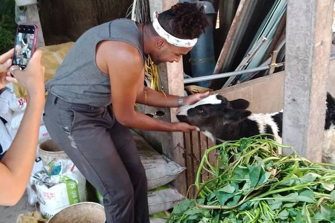 Ho Chi Minh City Full-Day Farm Trip With Healthy Cooking Class - Pricing and Discounts