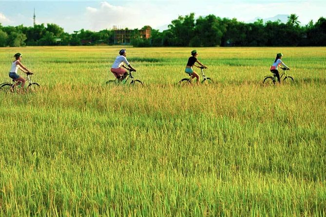 Hoi An Bicycle And Cooking Class Tour - Harvesting Coconuts and Cooking Hoi An-style Food