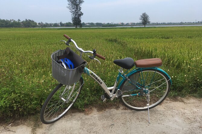 Hoi an Countryside Biking Tour and Water Buffalo Riding Experience (4 Hour) - Reviews