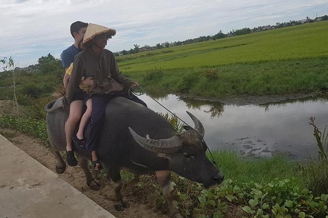 Hoi an Eco -Fishing,Buffalo Ride,Vegetable Farming, Authentic Lunch,Foot Massage - Traditional Farming Practices