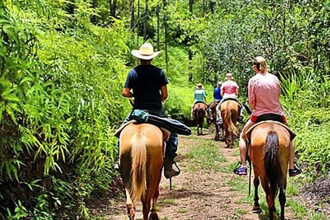Holbox Horseback Riding in Nature Experience - Expectations and Accessibility