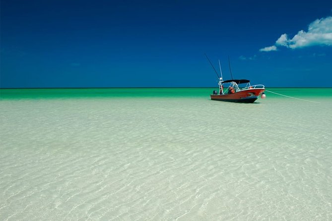 Holbox Island Full Day Trip With Lunch From Playa Del Carmen - Additional Information