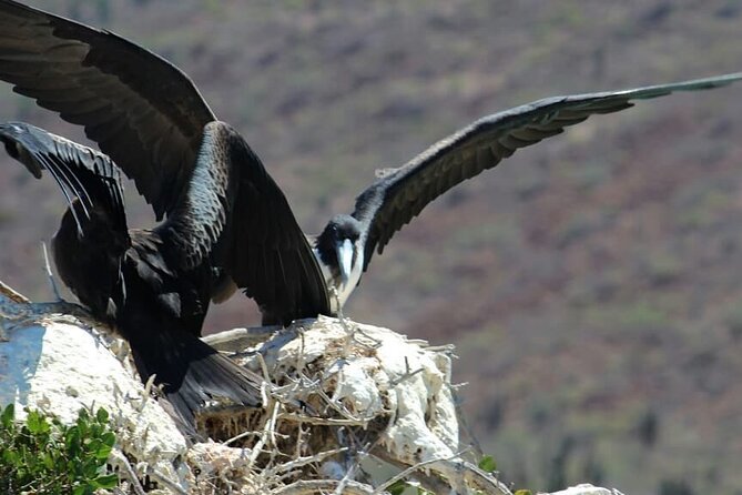 Holy Spirit Island Tour - Activities and Sightings on the Island