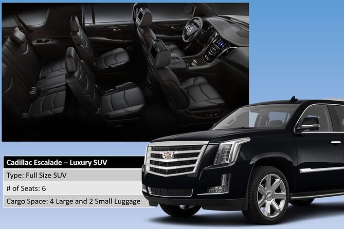 Honolulu Harbor Cruise Terminal Transfer by Luxury Vehicle - Customer Testimonials