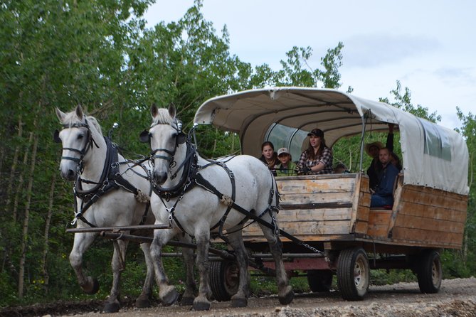 Horse-Drawn Covered Wagon Ride With Backcountry Dining - Reviews