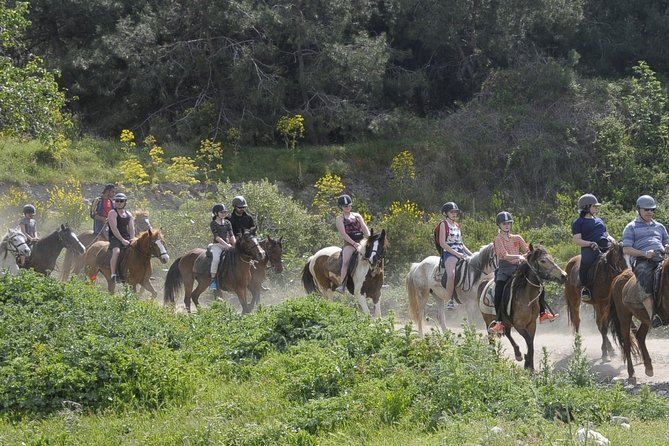 Horse Riding in Kusadasi - Pricing Information