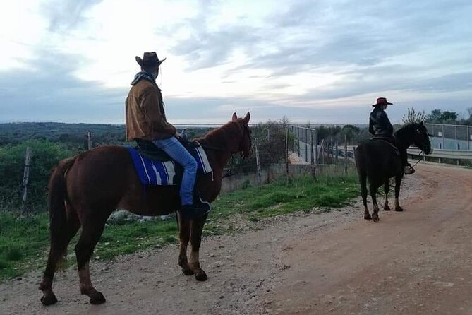 Horse Riding in the Gargano National Park - Directions