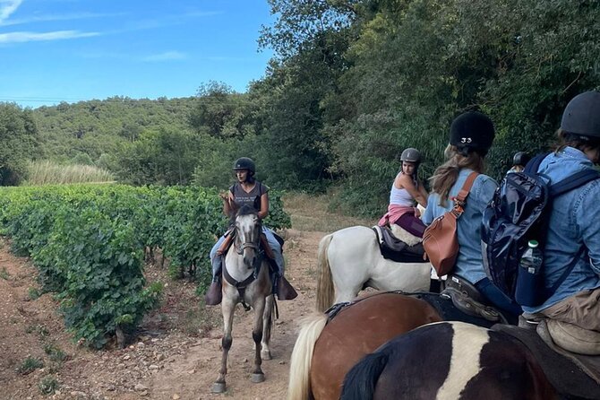Horse Riding in the Vineyards of Grimaud Wine Tasting - Wine Tasting Session