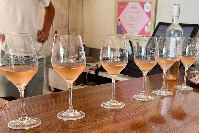 Horse Riding in the Vineyards of Ramatuelle Wine Tasting - Exploring the Regions Culture and History