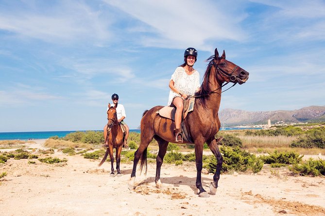 Horse Riding Morning Ride in Paros - Expectations and Requirements
