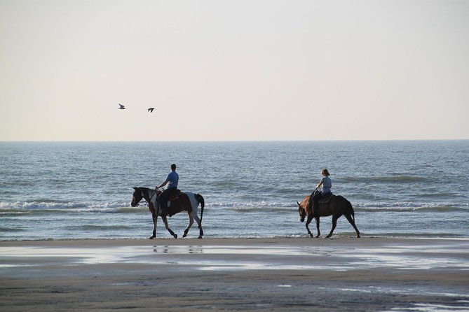 Horse Riding on the Beach, Rhodes - Additional Info