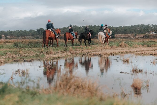Horse Riding on the Beach With Private Transfer From Lisbon - Traveler Reviews and Testimonials