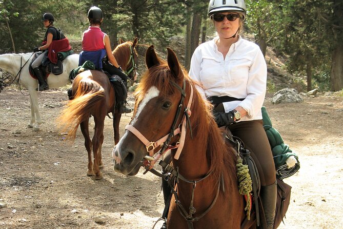Horse Riding Tour in Bodrum With Hotel Pick up - Reviews