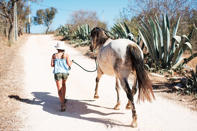 Horse Sanctuary: a Nature Walk With Rescued Horses by Your Side - Additional Info