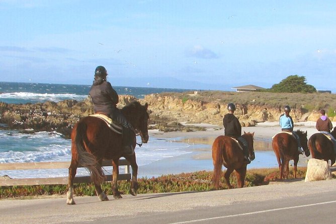Horseback Ride & Alcatraz Prison Tickets - Horseback Ride Details