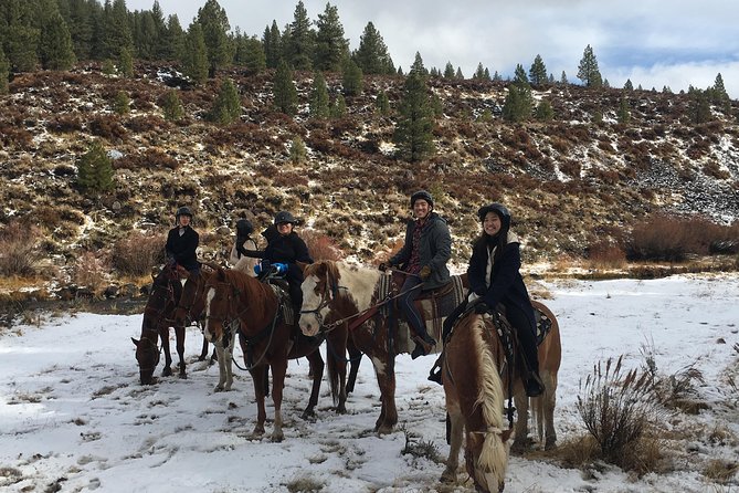 Horseback Riding Adventure From Reno - Snacks and Transportation