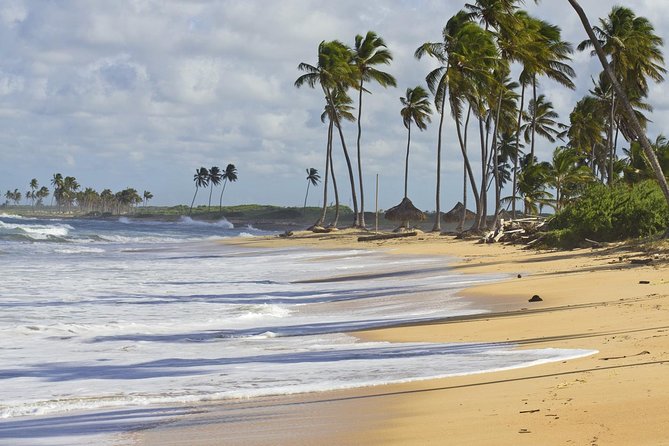 Horseback Riding Adventure Punta Cana - What To Expect on the Tour