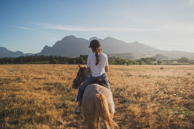 Horseback Riding and Wine Tasting in Tuscany - Reviews