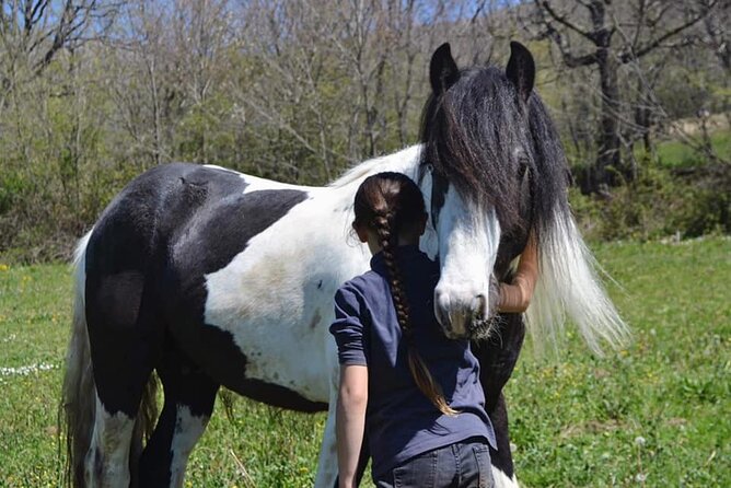Horseback Riding in Nature - What to Expect