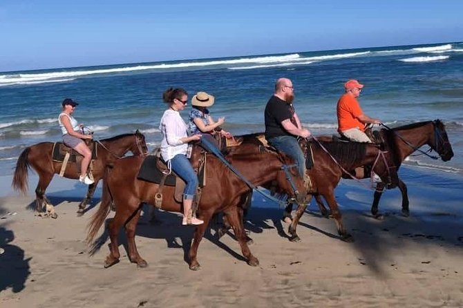 Horseback Riding on a Punta Cana Beach - Customer Reviews and Ratings