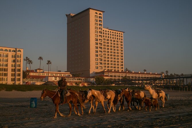 Horseback Riding on Private Beach and Puerto Nuevo From Rosarito - Traveler Photos and Reviews
