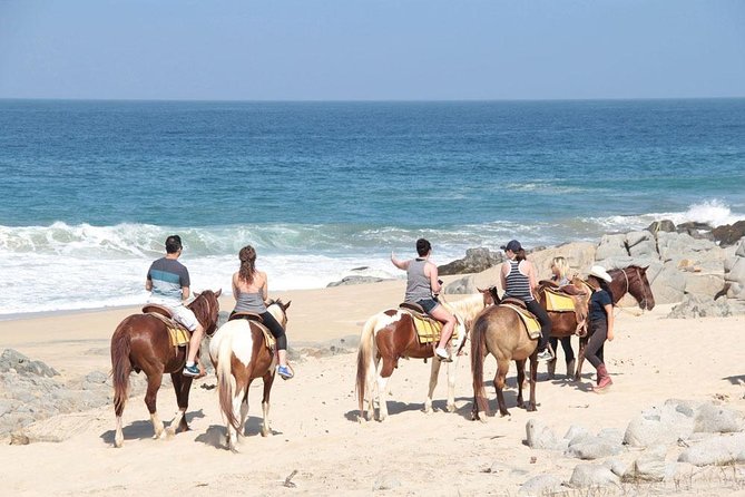 Horseback Riding on The Beach and Through The Desert! - Customer Reviews (Positive Feedback)