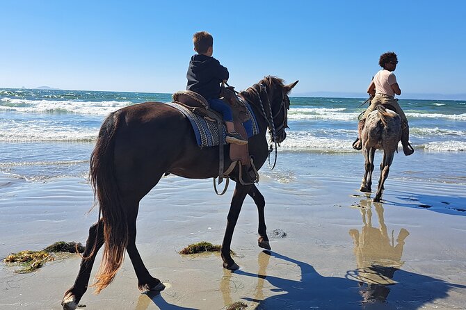 Horseback Riding on the Beach From Ensenada - Activity Details