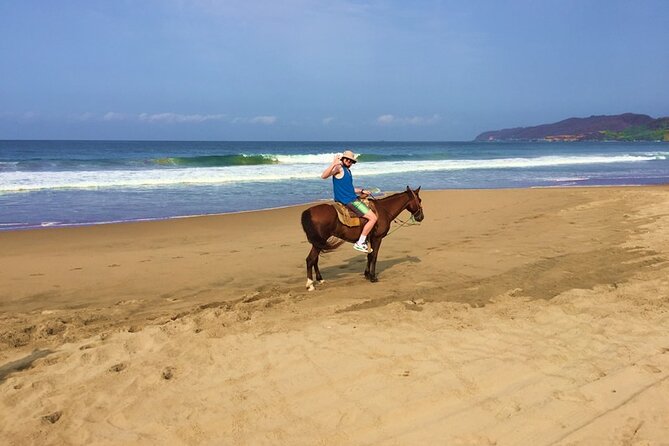 Horseback Riding Playa Larga - Coconut Orchard and Small Lagoon Visit