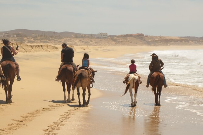 Horseback Riding Tour in Cabo San Lucas - Cancellation Policy