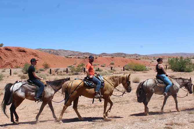 Horseback Riding Tour - Meeting and Pickup