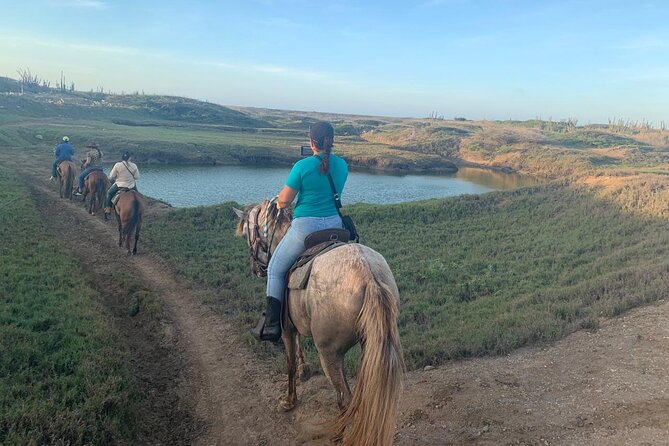 Horseback Riding Wariruri Beach Tour in Aruba - Additional Information
