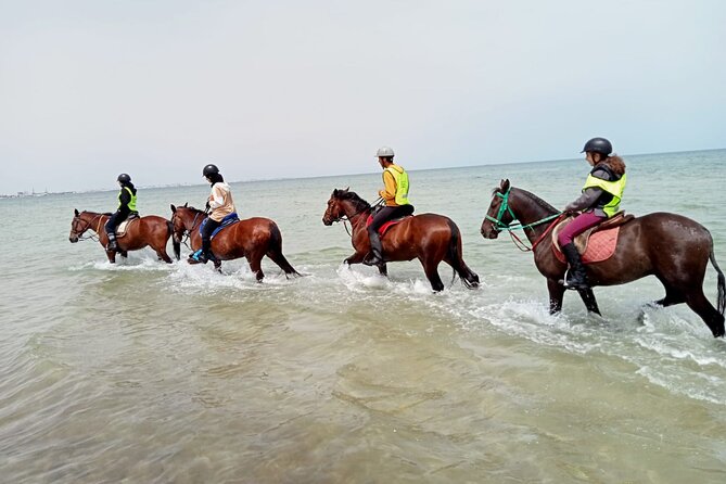 Horseback Riding With Private Transfer - Traveler Photos