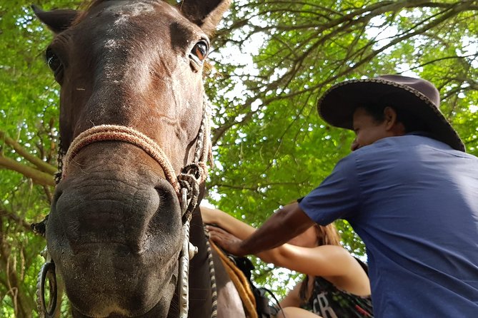 Hot Springs Horseback Riding Adventure - Enjoying the Thermal Pools