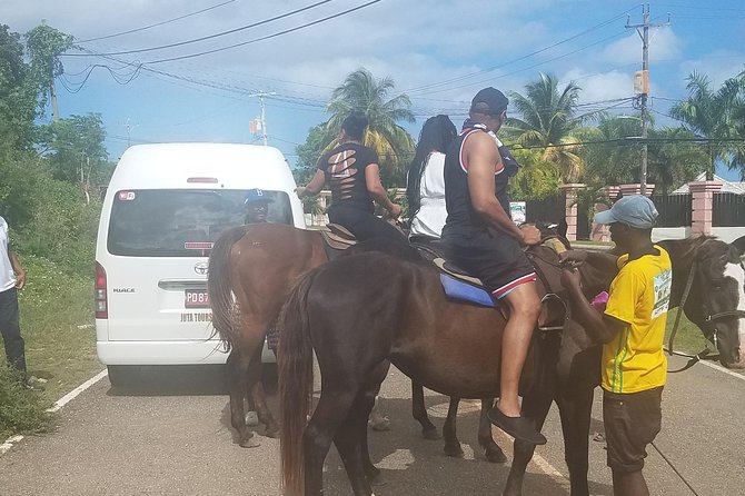 Hour Horseback Riding Guided Tour From Runaway Bay - Additional Information