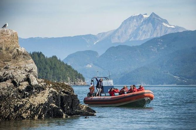 Howe Sound Sea Safari Cruise - Traveler Photos