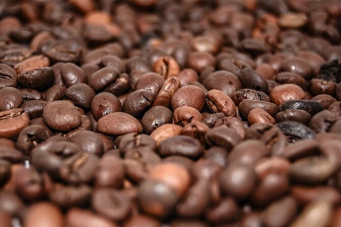 Huatulco Full-Day Coffee and Waterfalls Tour - Cancellation Policy