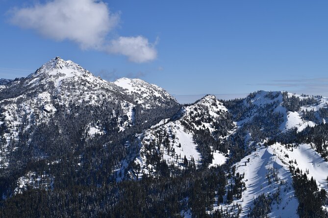Hurricane Ridge Guided Snowshoe Tour in Olympic National Park - Cancellation Policy