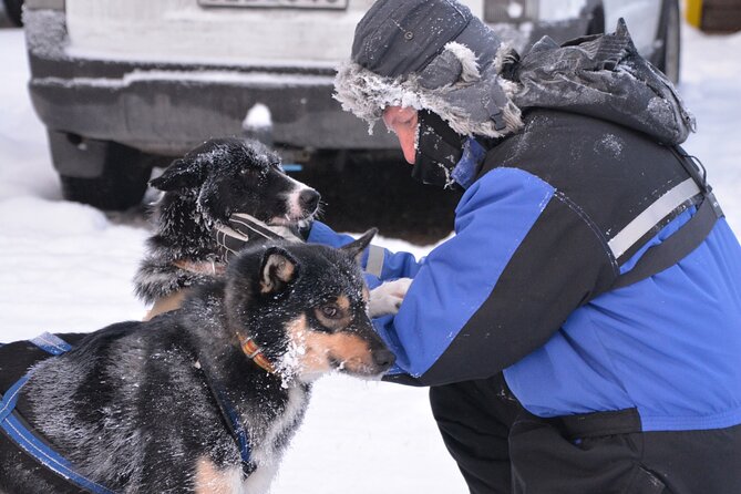 Husky Tour Sit and Drive Combo Tour From Kiruna - End Point