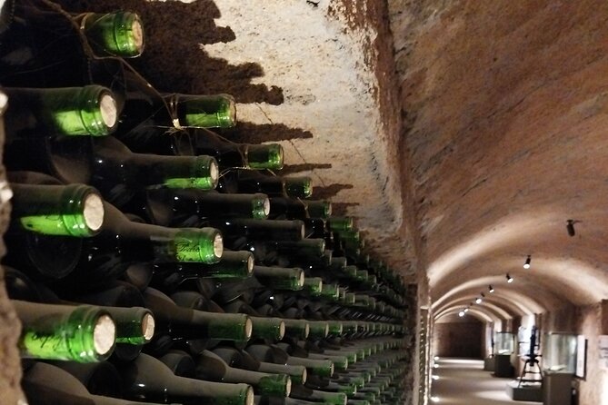 I Want More Wine, Guadalupe Valley Tours. - Indulging in Gourmet Food and Wine Pairings