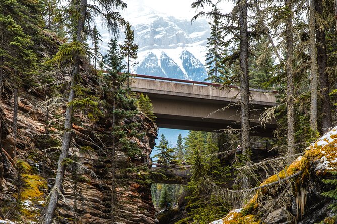 Icefields Parkway: a Smartphone Audio Driving Tour - Positive Reviews and Learning Experience