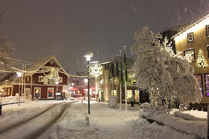 Icelands Christmas Myths and Traditions - Reykjavík Walking Tour - Meeting Spot: Convenient Location for Tour Participants