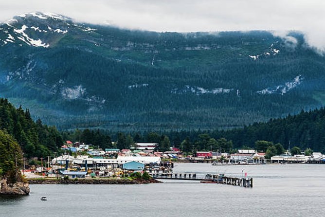 Icy Strait Shore Excursion: Whale Watching Adventure Tour - Additional Information