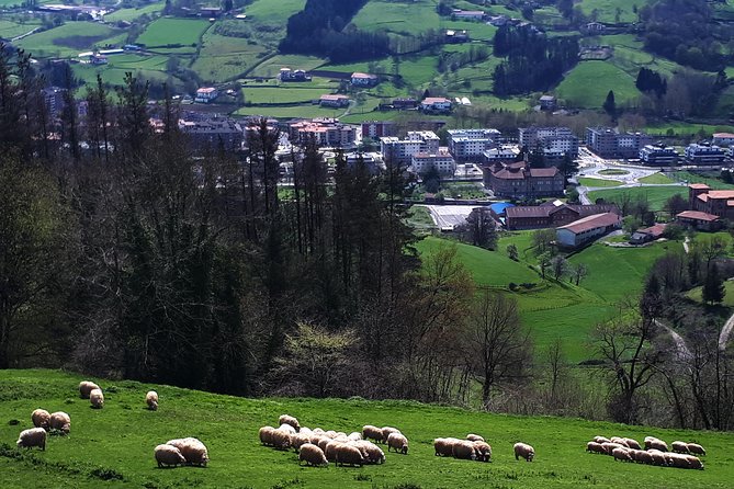 Idiazabal Cheese Farm Visit With Tasting - Reviews and Ratings