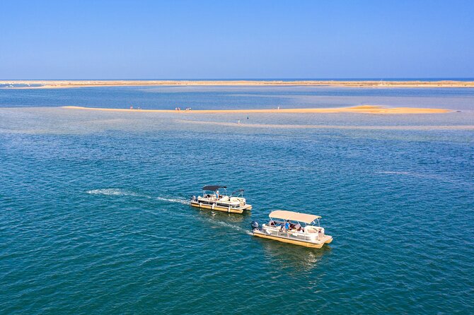 Ilha Deserta and Farol Island: a Small Group Boat Trip in Ria Formosa From Faro - Positive Feedback About the Tour Guide