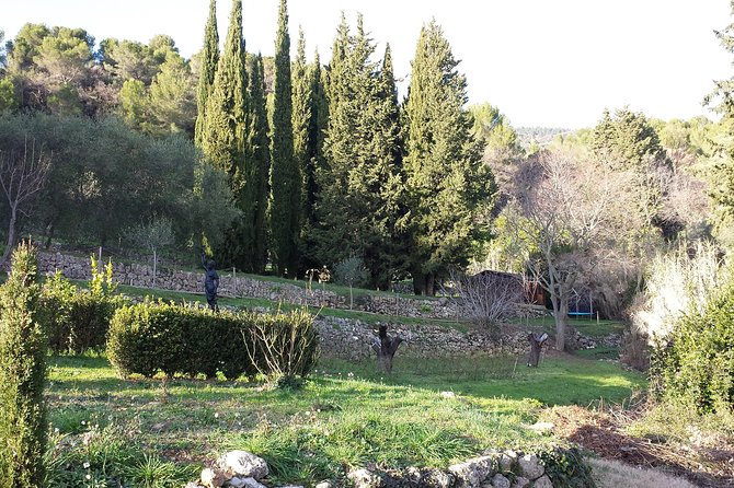 In the Secret of Perfumes and Flowers-Private Tour Full Day- - Lunch at a Local Restaurant