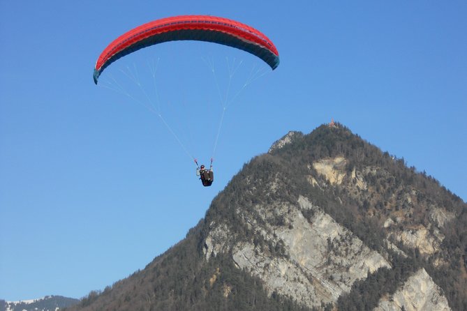 Interlaken Private Tour: Mountains Cows, Thun Lake, and Brienz Lake - Inclusions