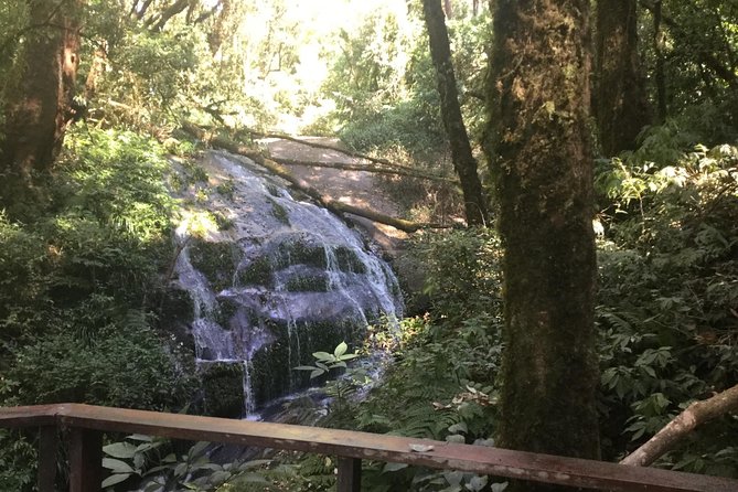 Inthanon Small-Group With Kew Mae Pan Trail From Chiang Mai Include Lunch - Tour Itinerary and Highlights