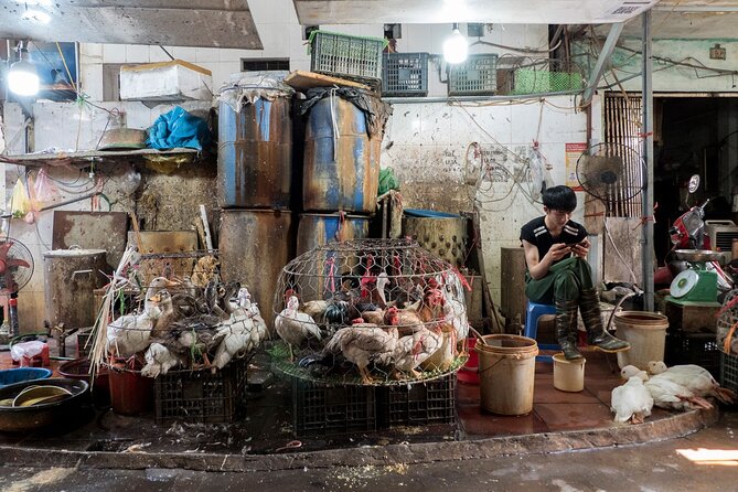 Into the Thieves Market Hanoi Photo Tour - Pricing: Affordable Options for Exploring the Thieves Market
