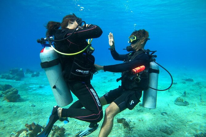 Introductory Diving Class in the Cozumel Reefs - Exploring the Cozumel Reefs